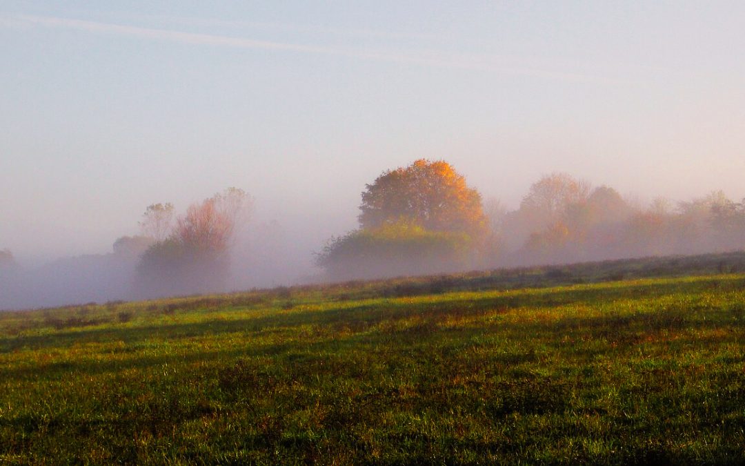 Ruhe in der Bewegung – Bewegung in der Ruhe..?